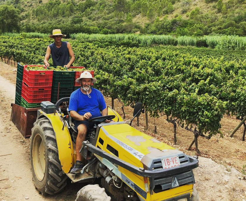 Vins Miquel Gelabert TraveltoZero